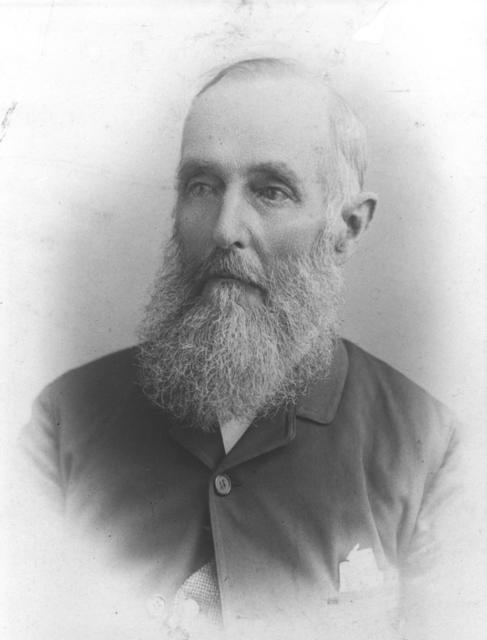 William Davis (junior)