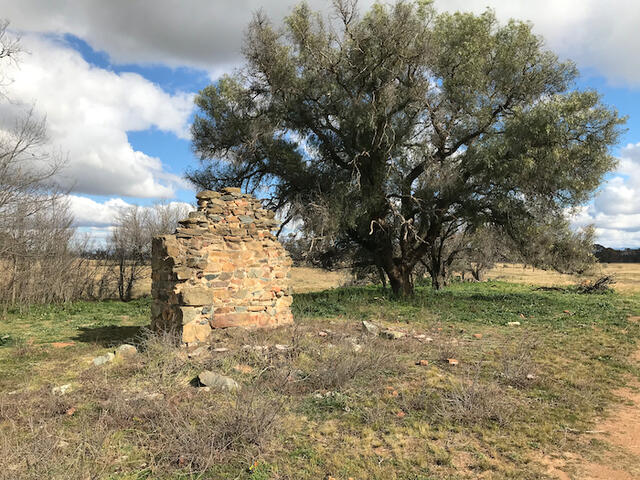 Inglewood chimney ruins and pepper tree