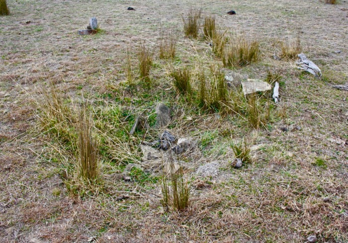 Chain of Ponds site