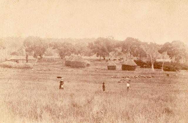 'Rosewood' farm. Homestead roof rear right
