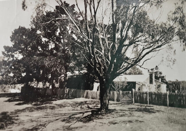 Front of Tea Gardens homestead, circa 1940