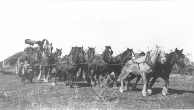 George Rochford's horse team