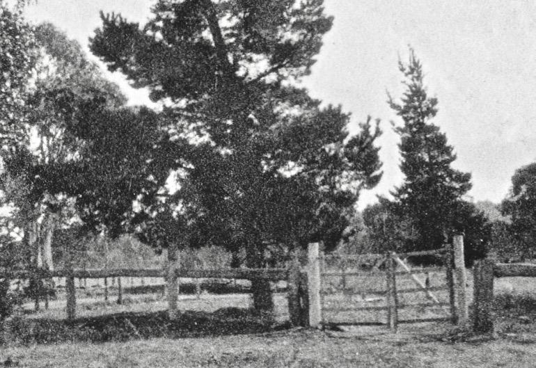 Majura School gates 1892