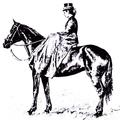 Mrs Henry Peck - top horsewoman
